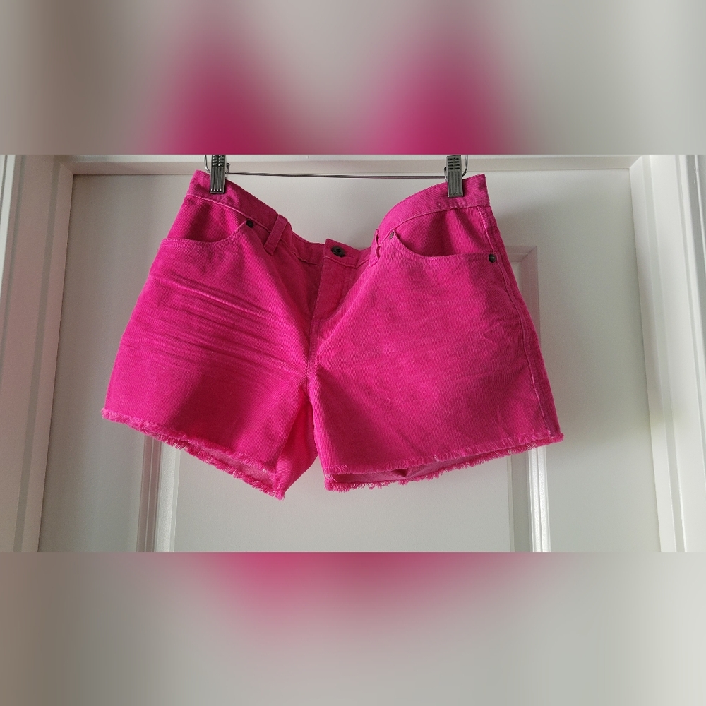 NWOT Carve Designs "Oahu" 4in Corduroy Shorts Size 6 Fuchsia
